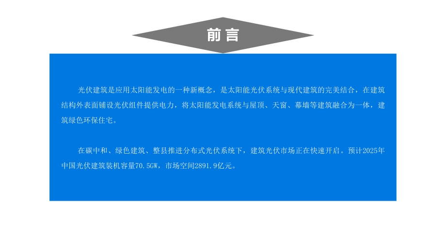 2021“十四五”中国光伏建筑市场前景及投资研究报告.pdf_第2页