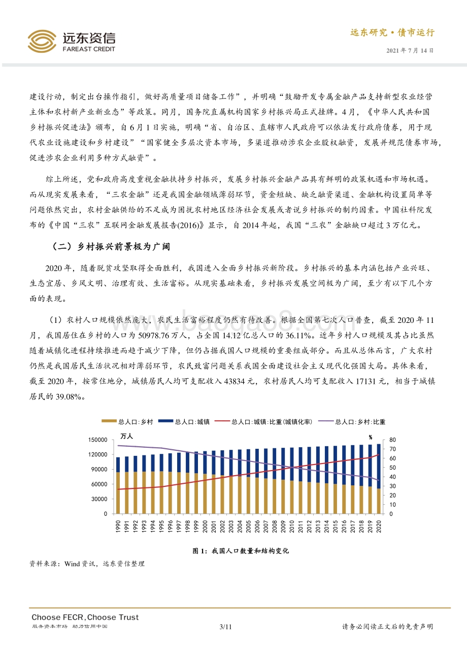 乡村振兴专项债券市场初览：为乡村发展添上金融“羽翼”.pdf_第3页