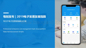 2019电子发票发展指数.pdf