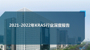 2021-2022年KRAS行业深度报告.pptx