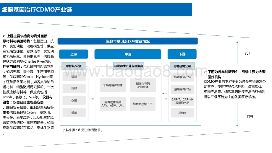 2021细胞基因治疗CDMO行业分析报告.pptx_第3页