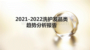 2021-2022洗护发品类趋势分析报告.pptx