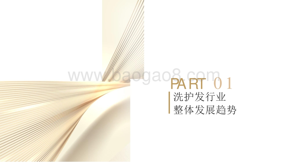2021-2022洗护发品类趋势分析报告.pptx_第3页