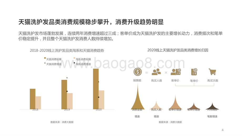 2021-2022洗护发品类趋势分析报告.pptx_第4页