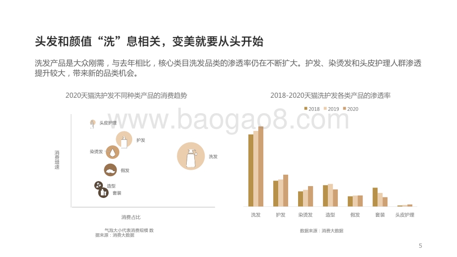 2021-2022洗护发品类趋势分析报告.pptx_第5页