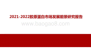 2021-2022胶原蛋白市场发展前景研究报告.pptx