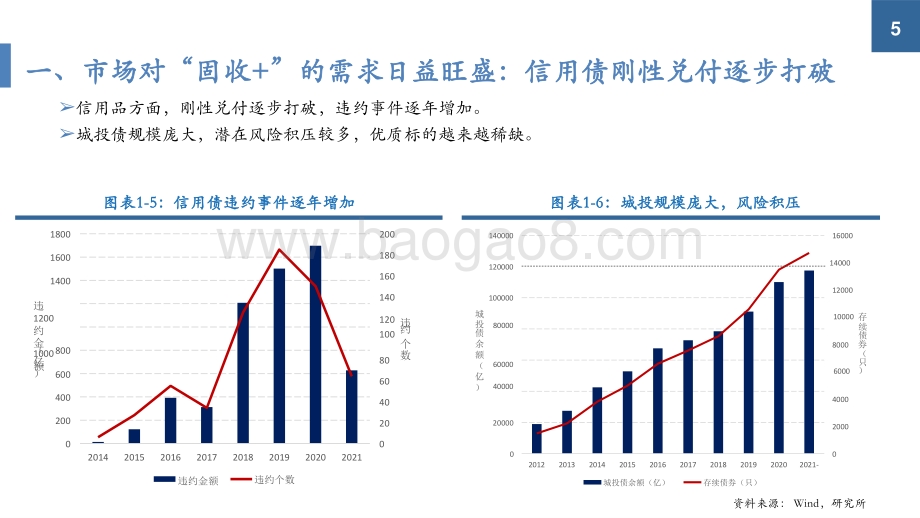 2021-2022固收+产品投资策略展望分析报告.pptx_第5页