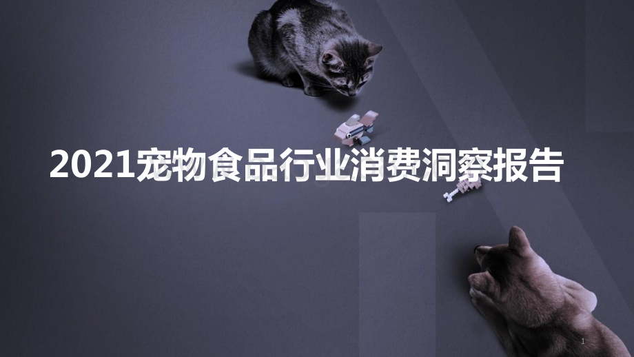 2021宠物食品行业消费洞察报告.pptx_第1页