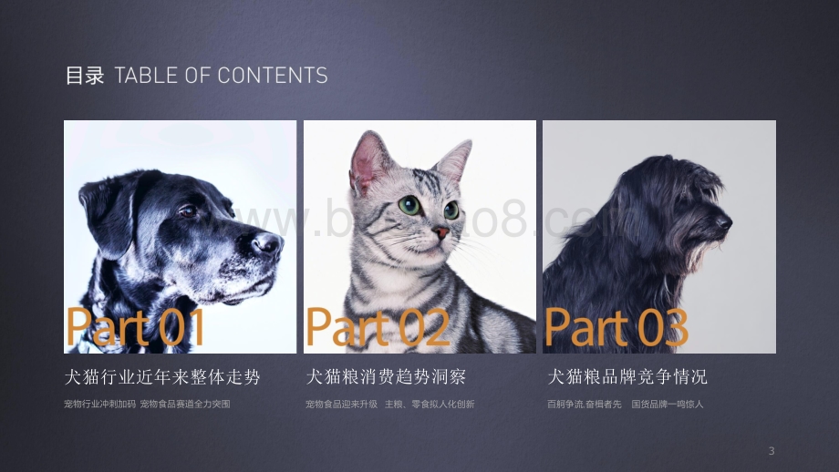 2021宠物食品行业消费洞察报告.pptx_第3页