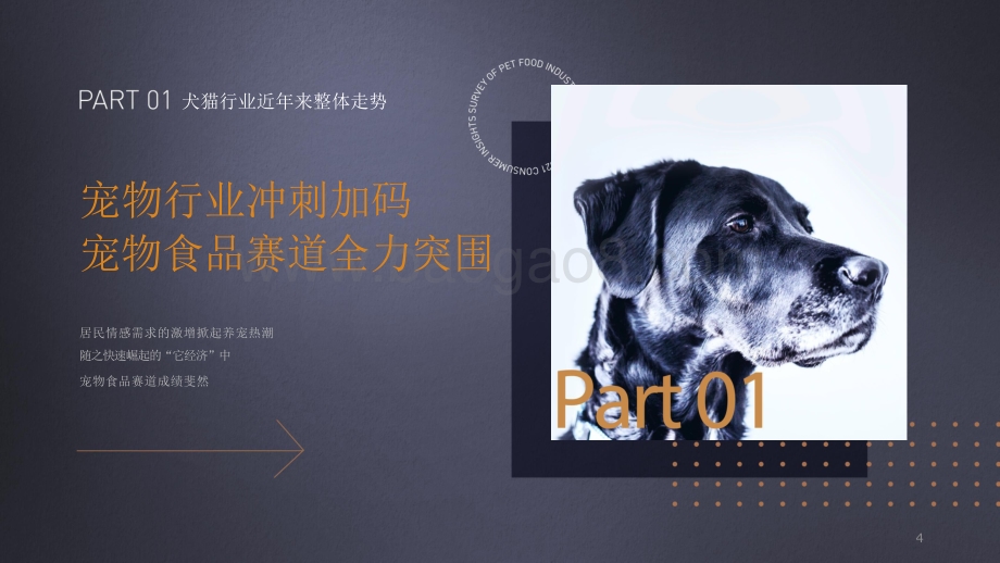 2021宠物食品行业消费洞察报告.pptx_第4页