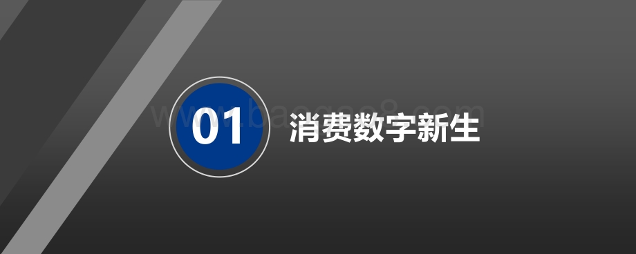 2021-2022中国品牌数字化实战研究报告.pdf_第2页