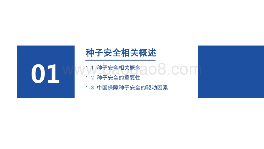2021-2022中国种子安全研究报告.pdf_第3页