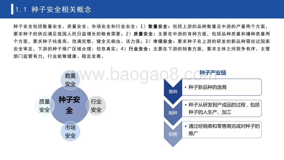 2021-2022中国种子安全研究报告.pdf_第4页