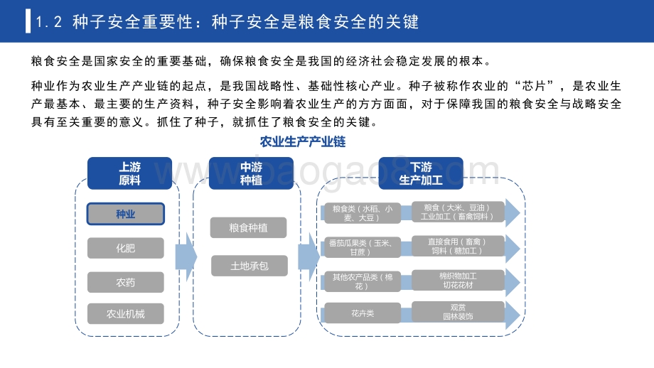 2021-2022中国种子安全研究报告.pdf_第5页
