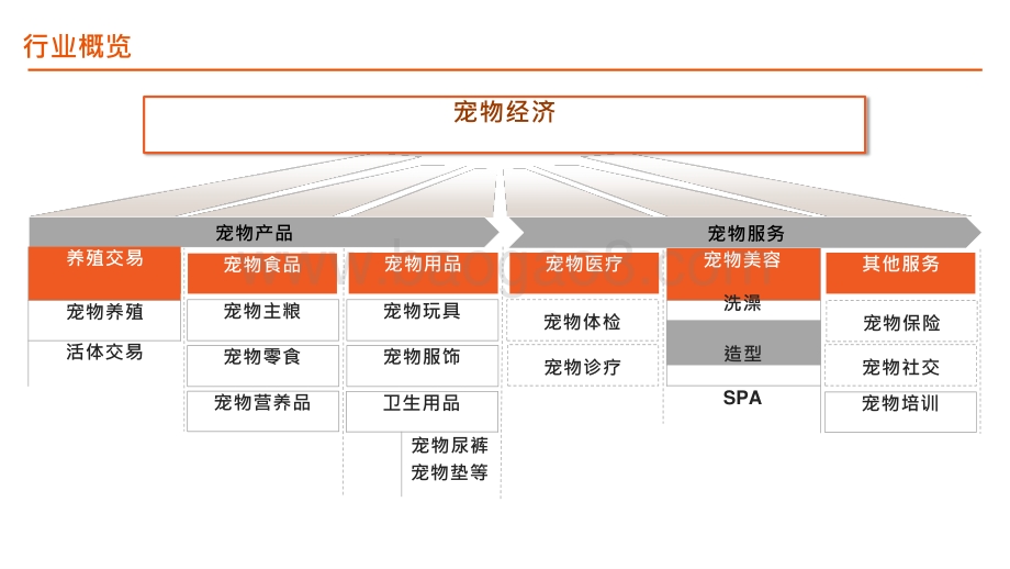 2021-2022中国宠物行业发展分析报告.pptx_第3页
