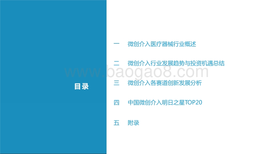 2021-2022年中国微创介入医疗器械产业发展报告.pptx_第4页