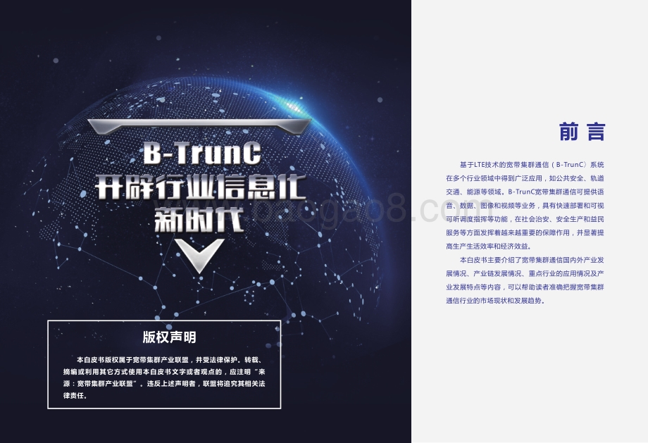 2019宽带集群（B-TrunC）产业白皮书.pdf_第2页