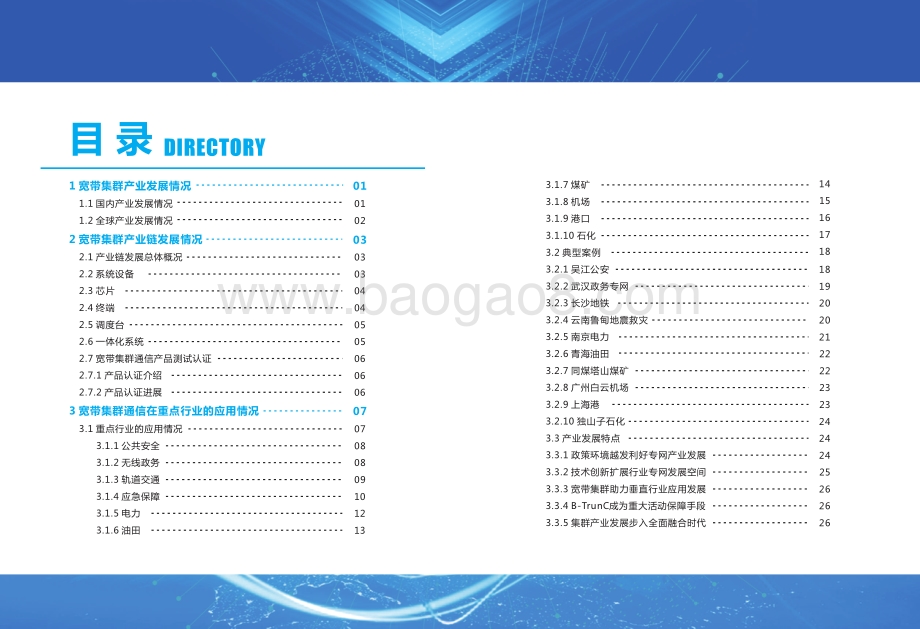 2019宽带集群（B-TrunC）产业白皮书.pdf_第3页