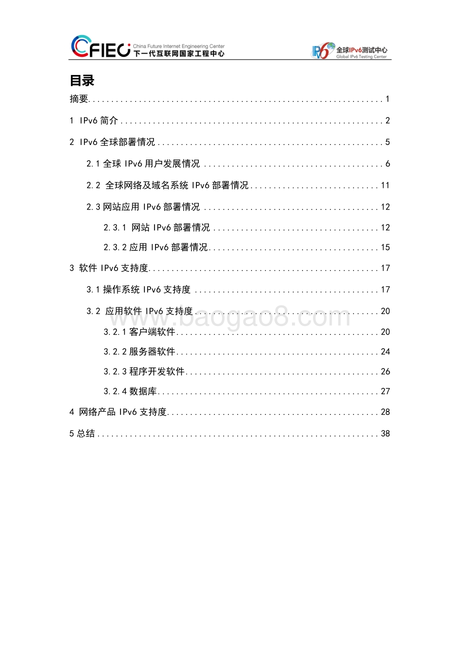 2018-2019全球IPv6支持度白皮书.pdf_第2页