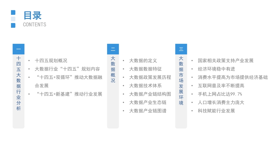 2021年“十四五”中国大数据行业市场前景及投资研究报告.pdf_第3页