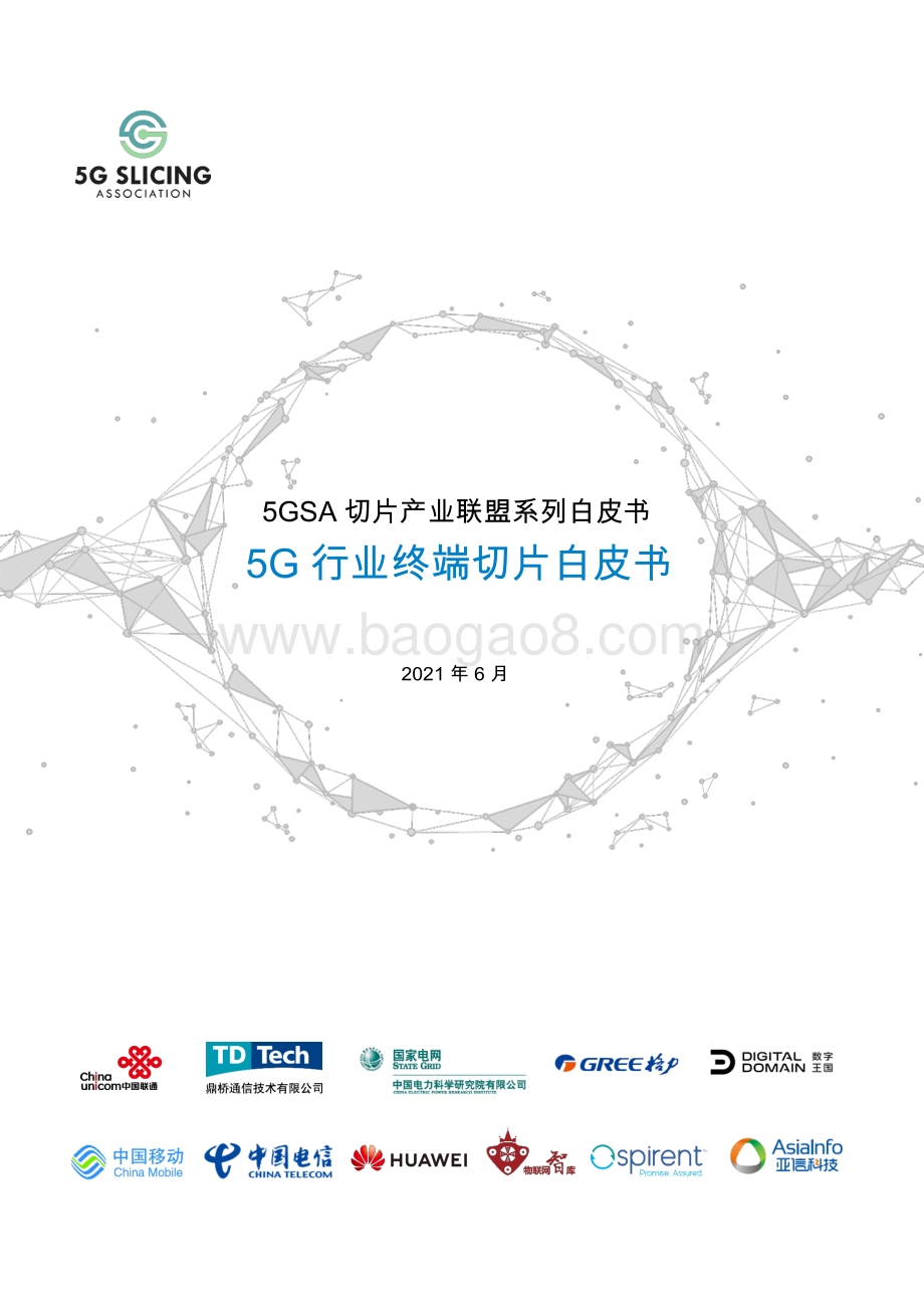 5G行业终端切片白皮书.pdf_第1页