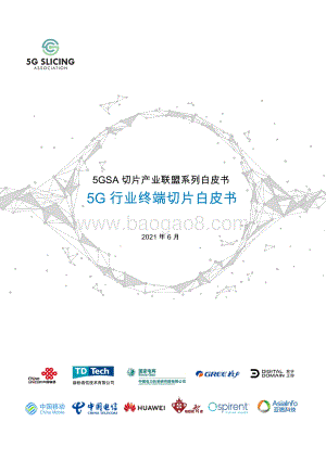 5G行业终端切片白皮书.pdf