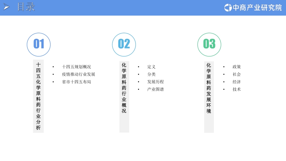 2021年“十四五”中国化学原料药行业市场前景及投资研究报告.pdf_第3页