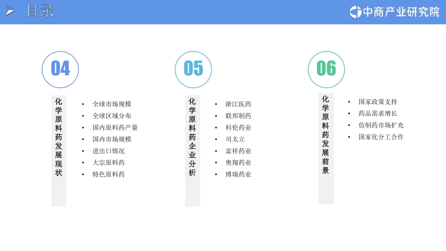2021年“十四五”中国化学原料药行业市场前景及投资研究报告.pdf_第4页