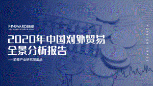 2020年中国对外贸易全景分析报告.pdf
