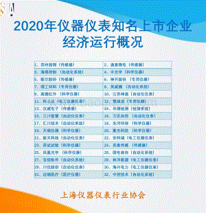 2020年仪器仪表知名上市企业经济运行概况.pdf
