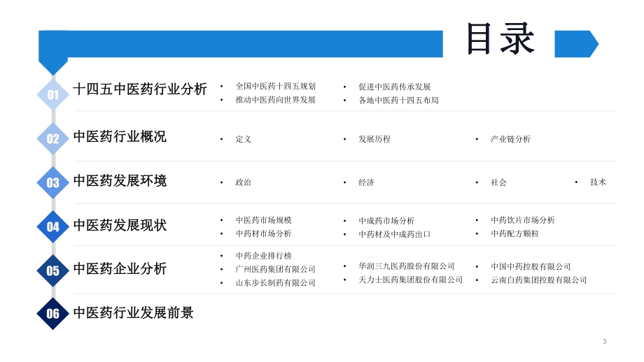 2021“十四五”中国中医药行业市场前景及投资研究报告.pdf_第3页