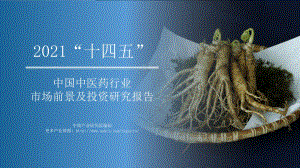 2021“十四五”中国中医药行业市场前景及投资研究报告.pdf