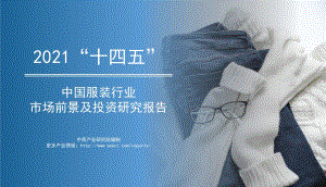 2021年“十四五”中国服装行业市场前景及投资研究报告.pdf