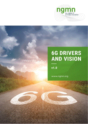 6G驱动力与愿景白皮书（英文版）.pdf