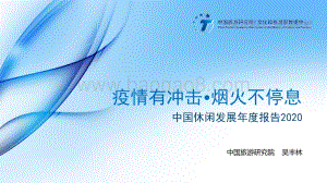 2020中国休闲发展年度报告.pdf