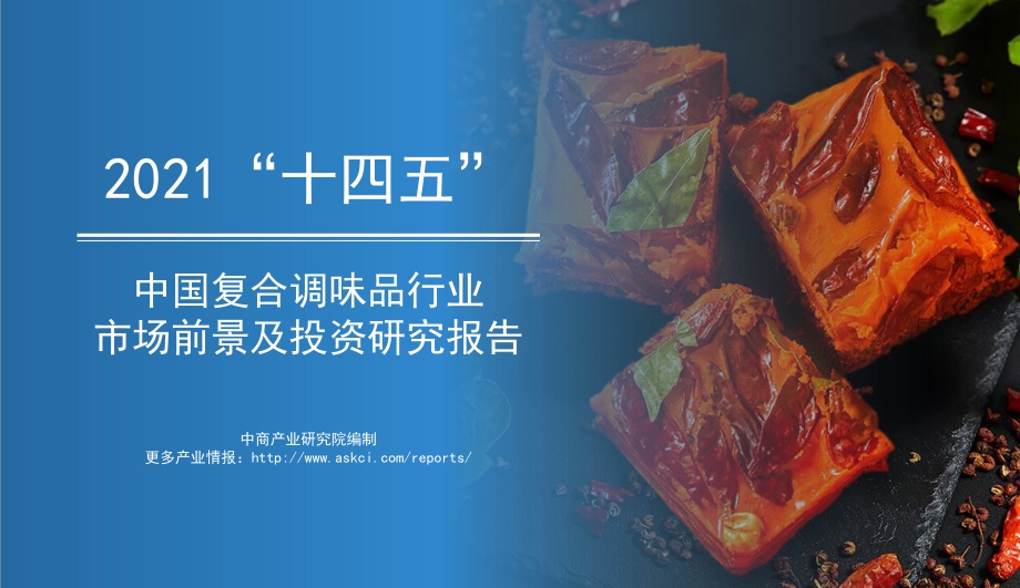 2021年“十四五”中国复合调味品行业市场前景及投资研究报告.pdf_第1页