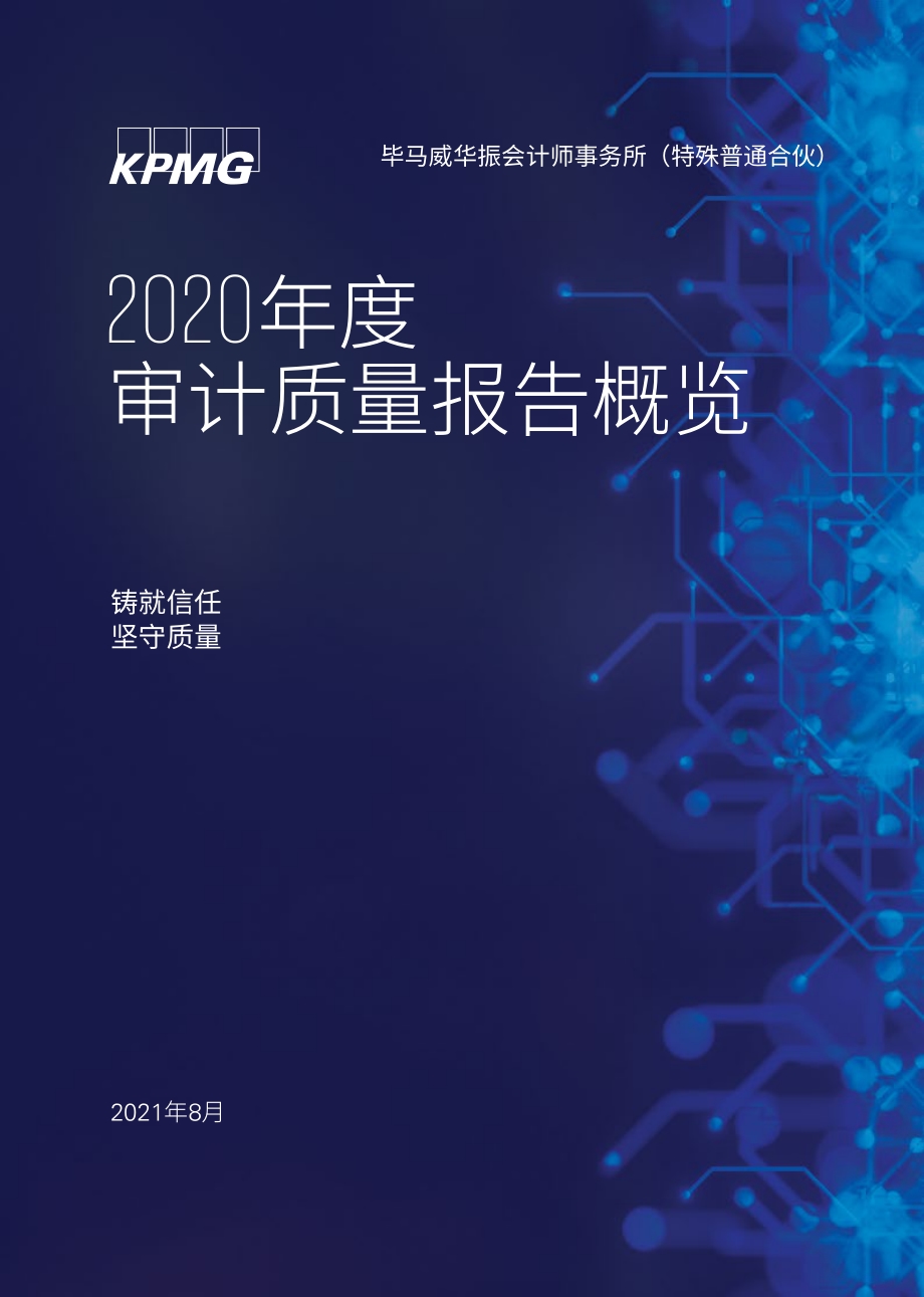 2020年度审计质量报告概览.pdf_第1页