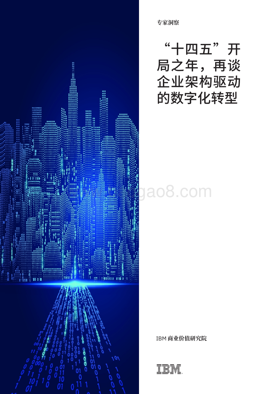 “十四五”开局之年再谈企业架构驱动的数字化转型.pdf_第1页
