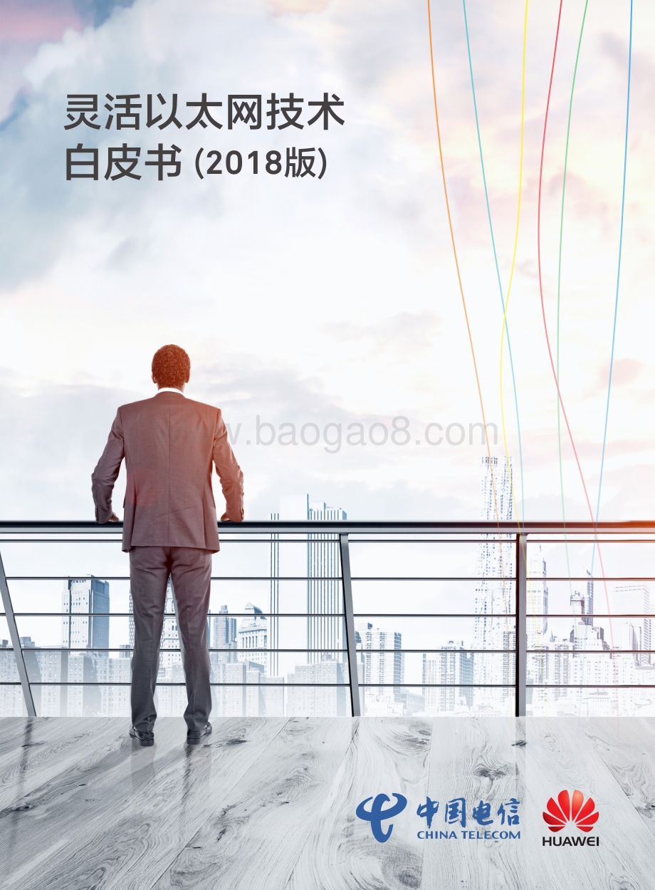 2018版灵活以太网技术白皮书.pdf_第1页