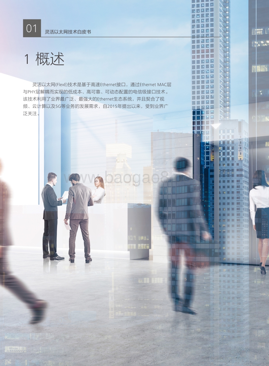 2018版灵活以太网技术白皮书.pdf_第2页