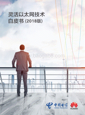 2018版灵活以太网技术白皮书.pdf