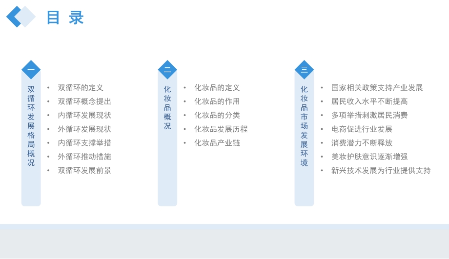 2021年“双循环”中国化妆品行业市场前景及投资研究报告.pdf_第3页