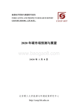 2020年碳市场预测与展望.pdf
