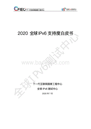 2020全球IPv6支持度白皮书.pdf