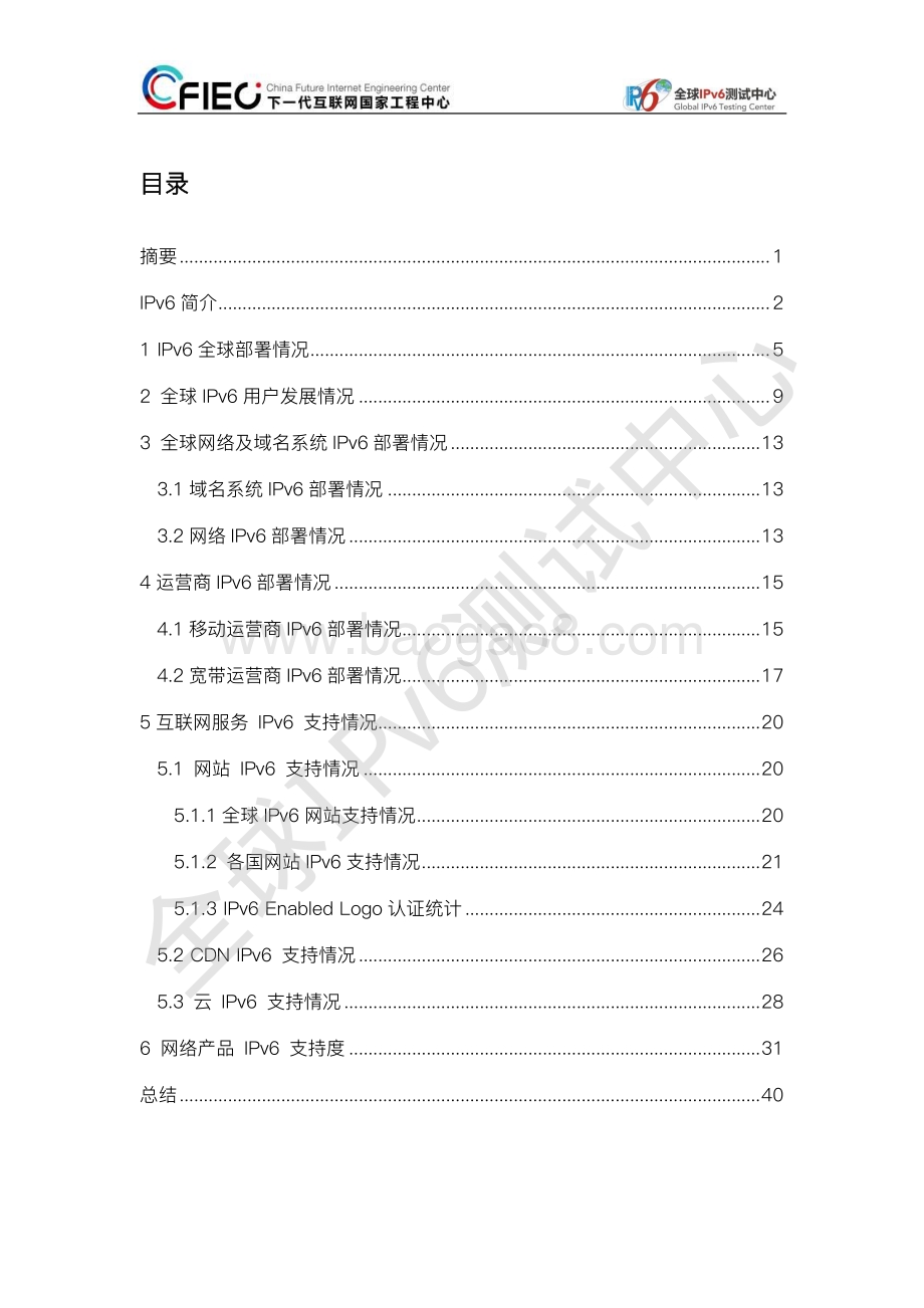 2020全球IPv6支持度白皮书.pdf_第2页