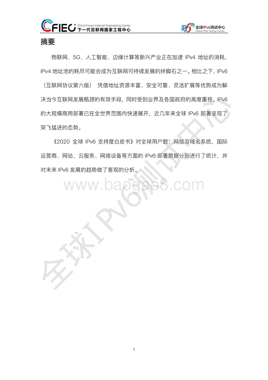 2020全球IPv6支持度白皮书.pdf_第3页
