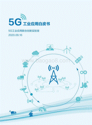 5G工业应用白皮书.pdf