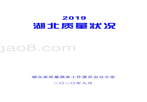 2019湖北质量状况.pdf