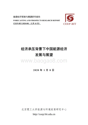 经济承压背景下中国能源经济发展与展望.pdf