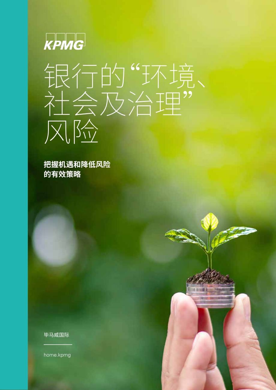 银行的“环境、社会及治理”风险.pdf_第1页